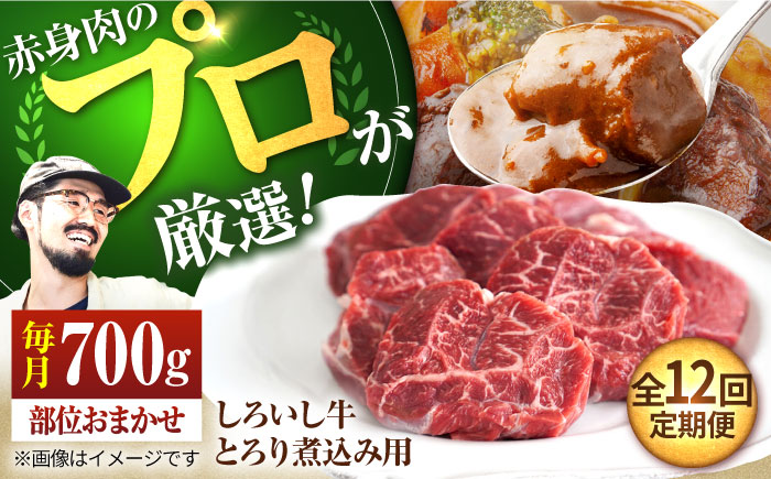 【牧場直送】【12回定期便】佐賀県産しろいし牛 とろり煮込み用 700g【有限会社佐賀セントラル牧場】牛肉 [IAH141]