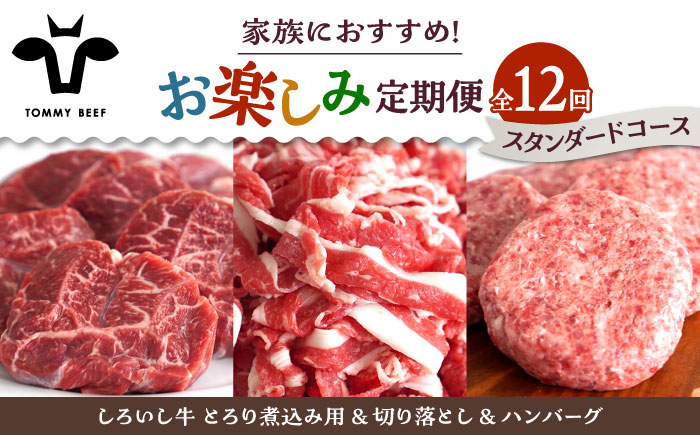 【牧場直送】【12回定期便】しろいし牛 家族向け お楽しみ 定期便（スタンダードコース）【有限会社佐賀セントラル牧場】牛肉 [IAH211]