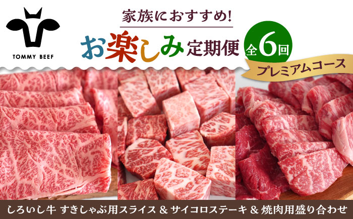 【牧場直送】【6回定期便】しろいし牛 家族向け お楽しみ 定期便（プレミアムコース）【有限会社佐賀セントラル牧場】牛肉 [IAH213]