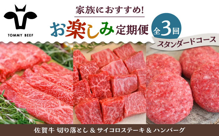 【牧場直送】【3回定期便】佐賀牛 少人数 家族向け お楽しみ 定期便【有限会社佐賀セントラル牧場】牛肉 [IAH215]