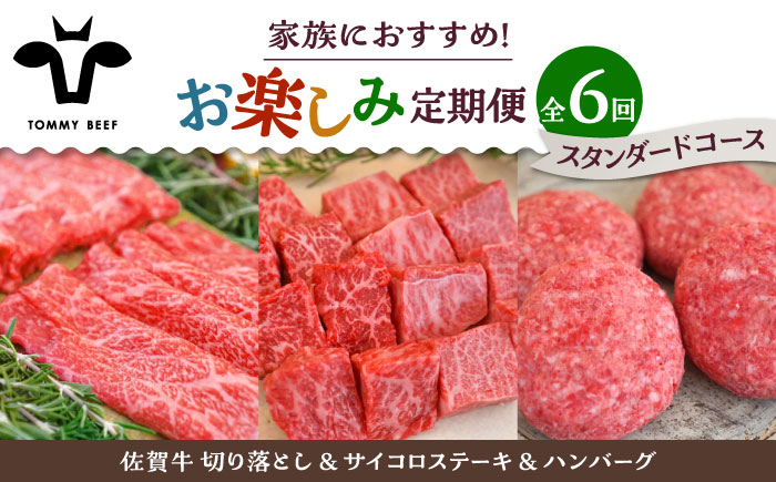 【牧場直送】【6回定期便】佐賀牛 少人数 家族向け お楽しみ 定期便【有限会社佐賀セントラル牧場】牛肉 [IAH216]