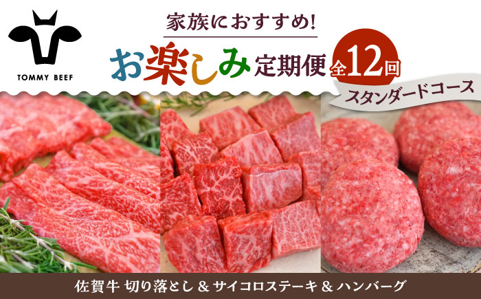 【牧場直送】【12回定期便】佐賀牛 少人数 家族向け お楽しみ 定期便【有限会社佐賀セントラル牧場】牛肉 [IAH217]
