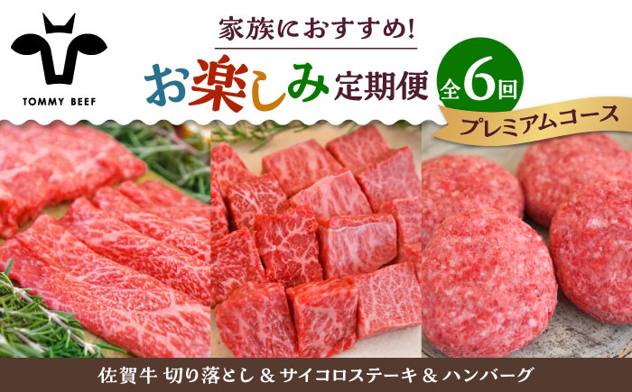 【牧場直送】【6回定期便】佐賀牛 家族向け お楽しみ 定期便【有限会社佐賀セントラル牧場】牛肉 [IAH219]