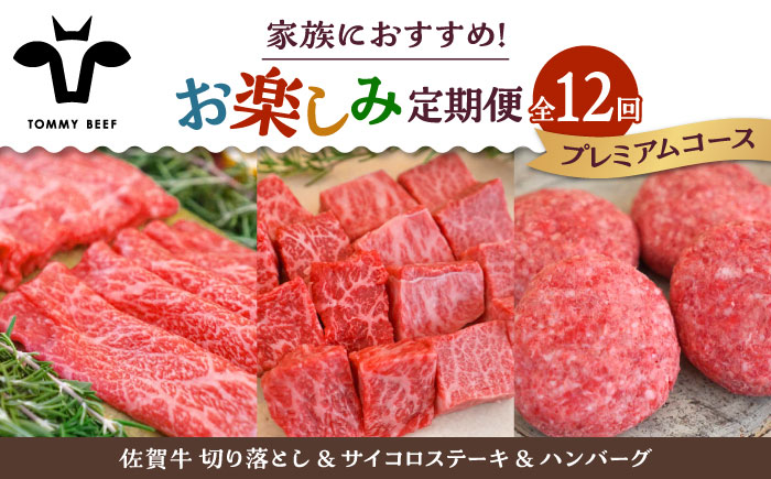 【牧場直送】【12回定期便】佐賀牛 家族向け お楽しみ 定期便【有限会社佐賀セントラル牧場】牛肉 [IAH220]