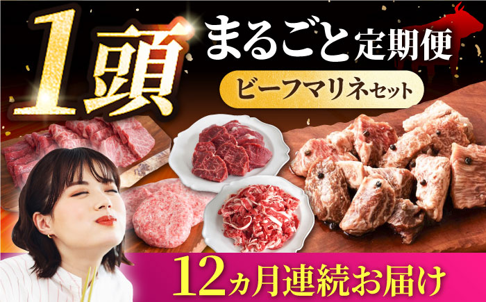 【12回定期便】しろいし牛1頭まるごと 食卓定期便 大容量 マリネ 焼肉 ハンバーグ【有限会社佐賀セントラル牧場】牛肉 [IAH223]