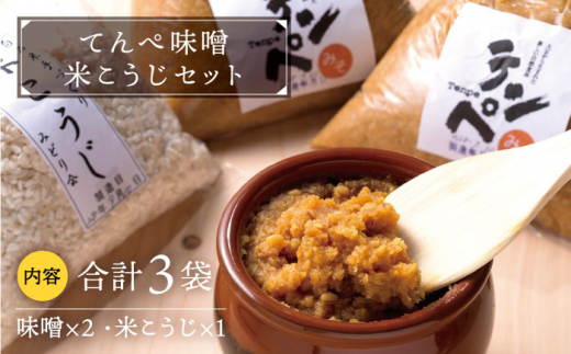 【身体にやさしい発酵食品！】テンペ味噌・米こうじセット【しろいし特産物直売所】 てんぺ [IAI001]