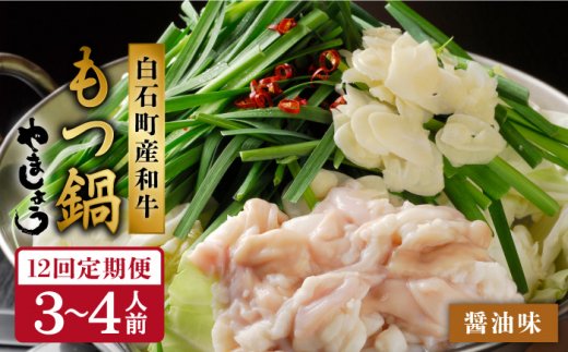 【全12回定期便】やましょう もつ鍋セット（醤油味）3-4人前 / モツ鍋 [IAL004]