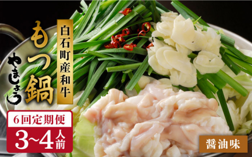【白石町返礼品限定】【全6回定期便】やましょう もつ鍋セット（醤油味）3-4人前 / モツ鍋 [IAL006]