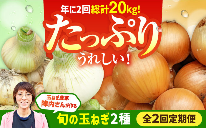【2回定期便】農家直送 玉ねぎ 定期便 10kg/回 【玉葱農家 陣内ちひろ】玉葱 たまねぎ 新玉ねぎ 新玉葱 晩生 [IAO027]