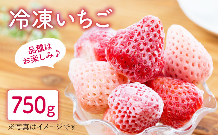 【先行予約】冷凍いちご おまかせ 詰め合わせ 750g【岸川農園】イチゴ [IAP002]