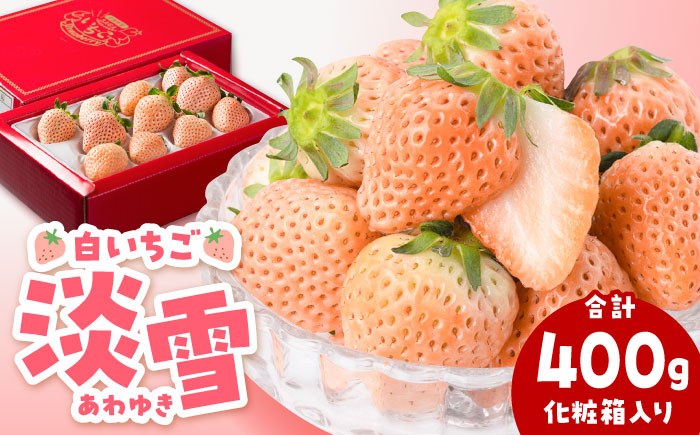 【先行予約】【農家直送】【化粧箱入り】ほんのりピンクな白いちご希少「淡雪」【岸川農園】イチゴ [IAP004]