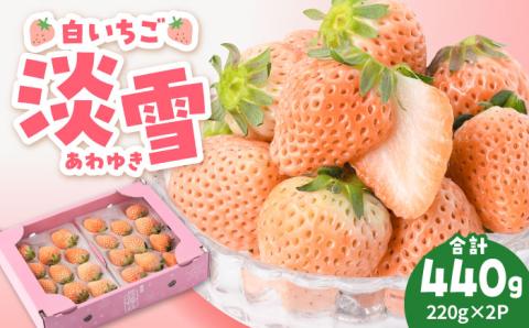 【先行予約】【農家直送】ほんのりピンク白いちご希少な「淡雪」220g×2パック 【岸川農園】 イチゴ [IAP005]