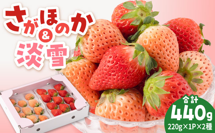 【先行予約】【農家直送】淡雪＆さがほのか赤白いちごセット各220g 【岸川農園】イチゴ [IAP007]