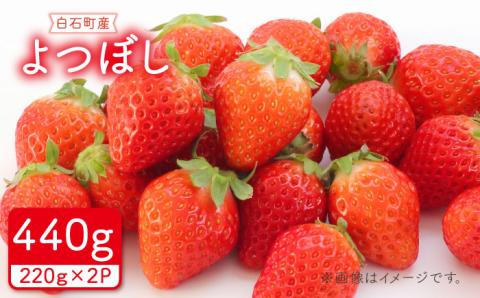【先行予約】【農家直送】その美味しさ四つ星級！「よつぼし」220g×2パック 【岸川農園】いちご [IAP009]