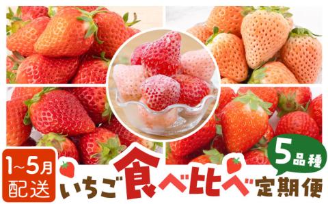 【R8年1月以降発送】【先行予約】【全5回定期便】いちご5品種食べ比べ白いちごなど希少品種も！【岸川農園】/イチゴ 苺 ストロベリー [IAP010]