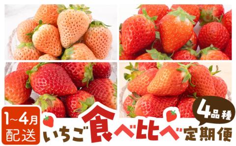 【先行予約】【全4回定期便】いちご4品種食べ比べ白いちごなど希少品種も！【岸川農園】イチゴ [IAP011]