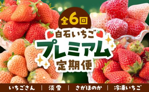 【先行予約】【全6回定期便】プレミアム いちご 食べ比べ【岸川農園】イチゴ [IAP023]