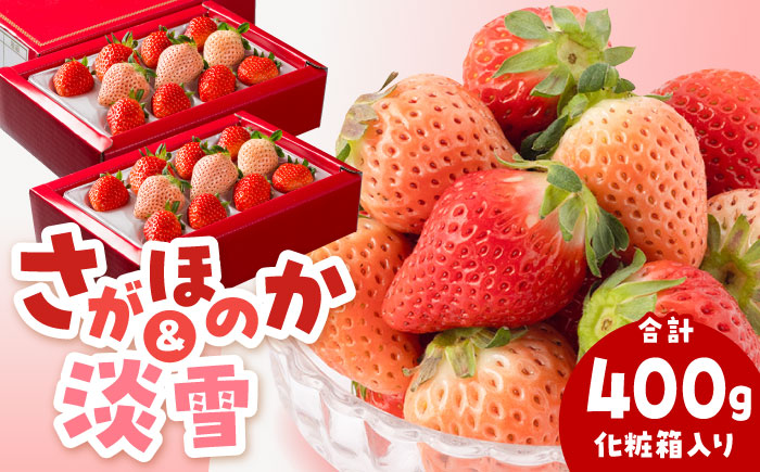 【先行予約】【化粧箱入り】淡雪＆さがほのか 赤白 いちごセット200g × 2パック 合計400g 【岸川農園】イチゴ [IAP032]