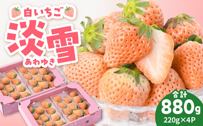 【先行予約】ほんのりピンク 希少 白いちご「淡雪」220g×4パック【岸川農園】イチゴ [IAP033]