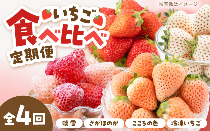 【R8年1月以降発送】【4回定期便】岸川農園の自慢の赤白いちご（淡雪・さがほのか・こころの色・冷凍いちご） 【岸川農園】 [IAP046]