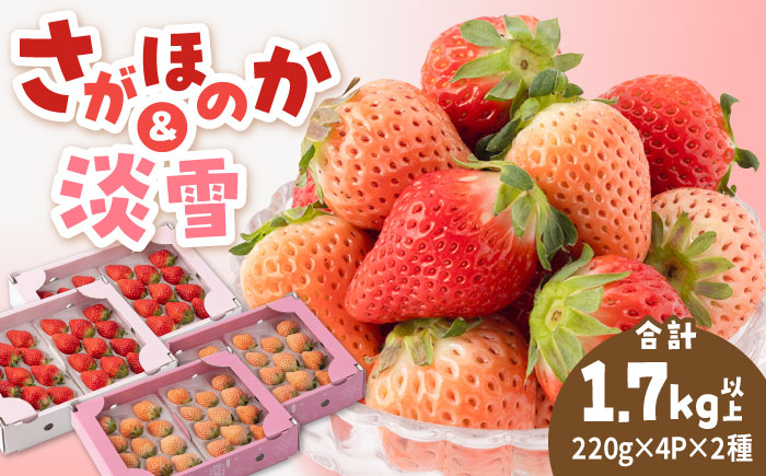 【R8年1月以降発送】紅白いちごセット（淡雪・さがほのか ） 計1.7kg以上（各220g×4パック） 【岸川農園】 [IAP049]