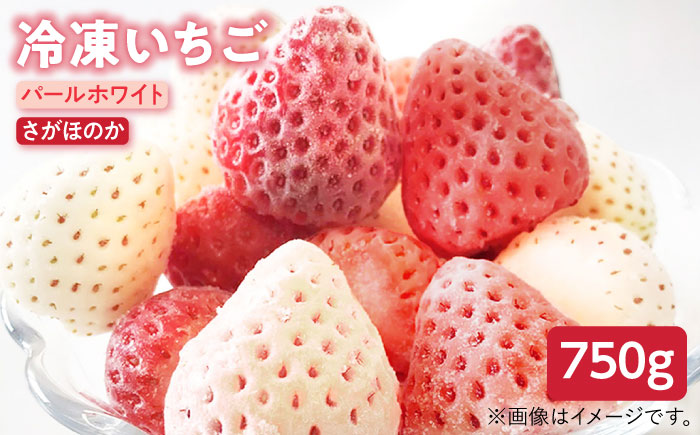 【先行予約】【贅沢2種食べ比べ】白石産冷凍いちご（さがほのか・パールホワイト）750g【ハヤシダファーム】 [IAQ001]