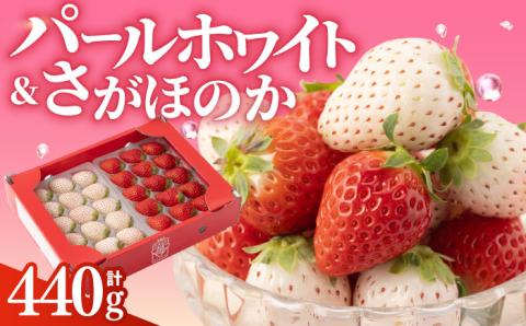 【先行予約】【農家直送】赤白「パールホワイト」＆「さがほのか」各220g【ハヤシダファーム】いちご [IAQ005]