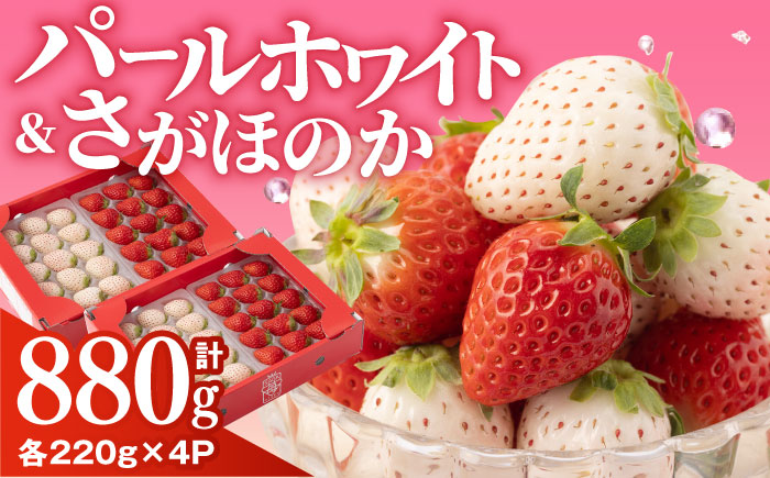 【先行予約】いちご食べ比べ！「さがほのか」と「パールホワイト」220g×各2パック 計4パック 【ハヤシダファーム】イチゴ [IAQ017]