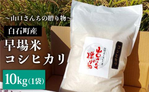 令和6年産新米】特別栽培米 早場米 コシヒカリ 10kg（10kg×1） 山口さんちの贈り物