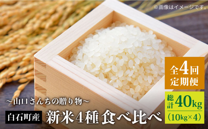 【令和7年8月以降発送】【全4回】新米4種 食べ比べ 特別栽培米 定期便 各回10kg 山口さんちの贈り物【y'scompany】米 お米 佐賀県産 [IAS013]