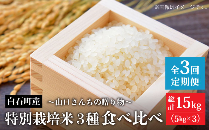 【令和8年1月以降発送】【全3回定期便】特別栽培米 3種食べ比べ 各回 5kg 山口さんちの贈り物【y'scompany】お米 [IAS014]