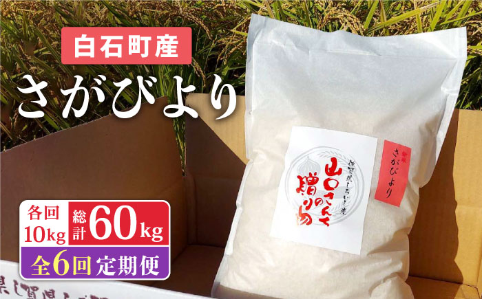 【令和7年11月以降発送】【全6回定期便】 特別栽培米 さがびより（白米） 10kg×6回（計60kg） 山口さんちの贈り物 【y'scompany】 お米 [IAS017]