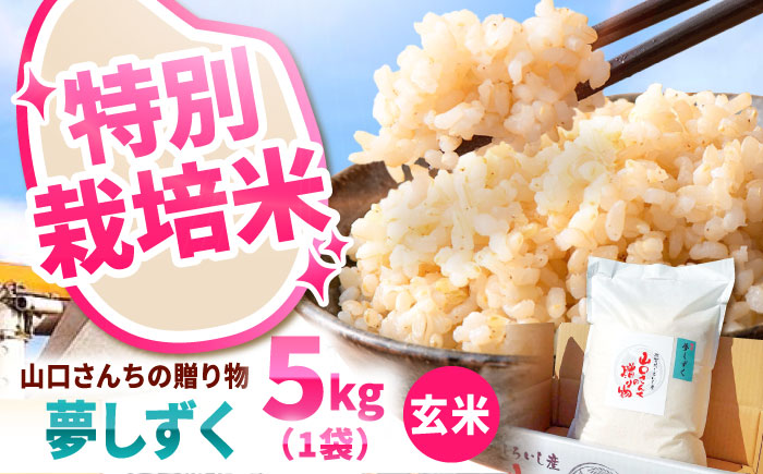 【令和7年10月以降順次発送】【令和7年度産】 特別栽培米 夢しずく（玄米） 5kg 【y'scompany】 [IAS023]
