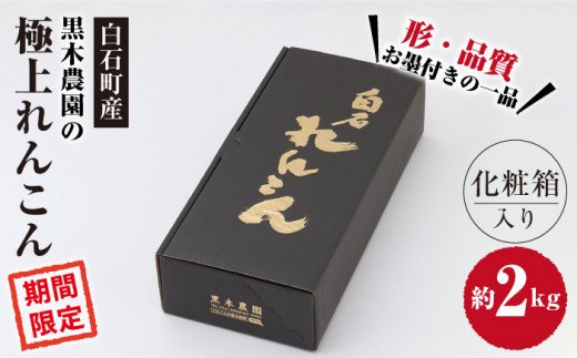 【R8年1月以降発送】ギフトにも！ 極上れんこん 約2kg 化粧箱（黒）【黒木農園】泥付き [IAU002]