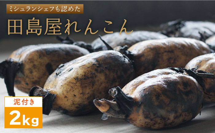 【年内発送】【ミシュランシェフも認めた】 れんこん（泥付き） 2kg 【田島屋れんこん】 佐賀県産 農家直送 直送 白石れんこん レンコン 蓮根 ミシュラン 白石町産 野菜 根菜 高品質 九州 佐賀県 白石町 [IAV002]