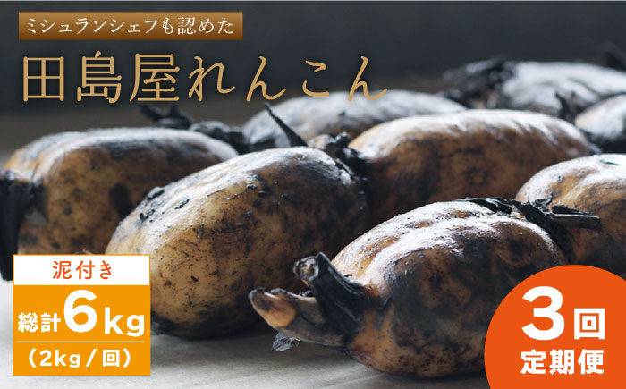 【先行予約】【全3回定期便】 れんこん（泥付き） 2kg×3回（計6kg） 【田島屋れんこん】蓮根 [IAV005]