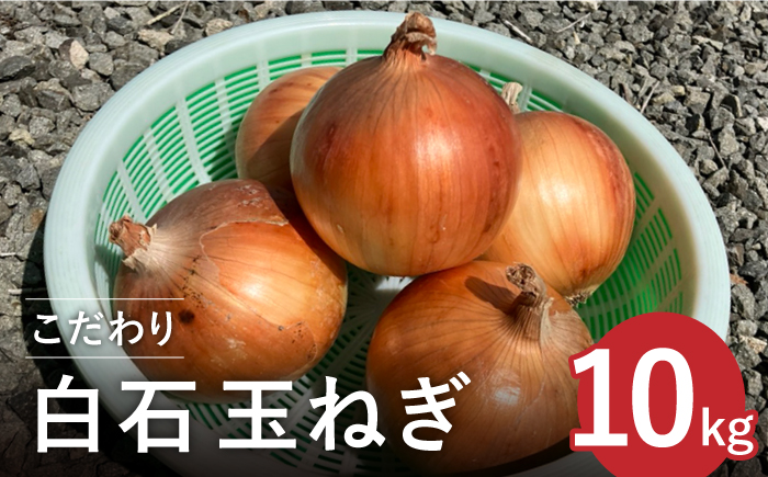 【農家直送！】こだわり 白石玉ねぎ 10kg【れんこんの家やました】 [IAW009]