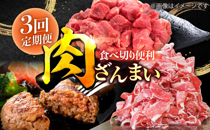 【3回定期便】肉ざんまい定期便 一人暮らし 少量 【川崎畜産】牛肉 [IAX047]