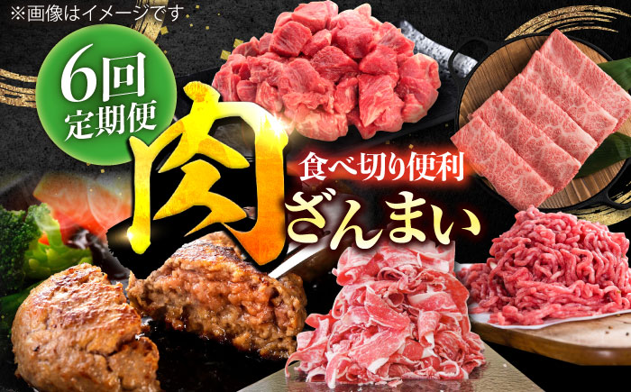 【6回定期便】肉ざんまい定期便 一人暮らし 少量 【川崎畜産】牛肉 [IAX049]