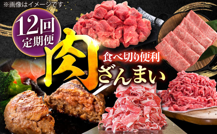 【12回定期便】肉ざんまい定期便 一人暮らし 少量【川崎畜産】牛肉 [IAX051]