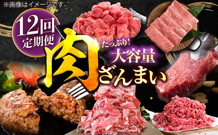 【12回定期便】肉ざんまい定期便 大家族 大容量 たっぷり 【川崎畜産】牛肉 [IAX052]