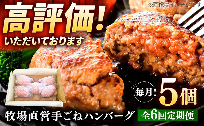 【6回定期便】牧場直営店の手作りハンバーグ（140g×5個）【川崎畜産】お肉 [IAX058]