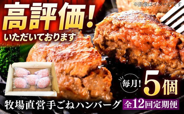 【12回定期便】牧場直営店の手作りハンバーグ（140g×5個）【川崎畜産】お肉 [IAX059]