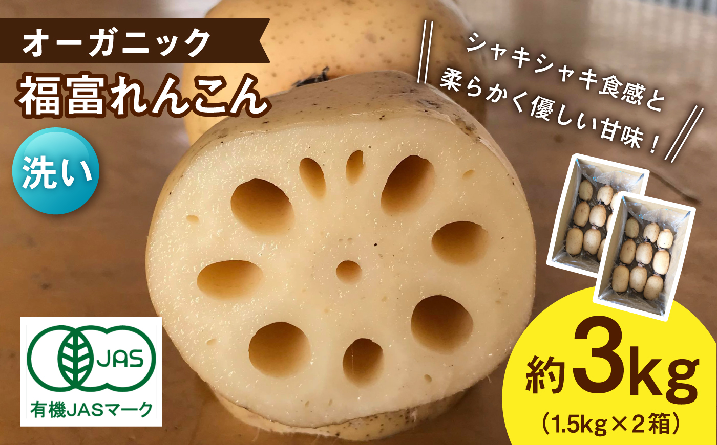 【洗い】【2026年9月～発送】節切り 有機栽培福富れんこん 約3kg（1.5kg×2箱） [IBC005]