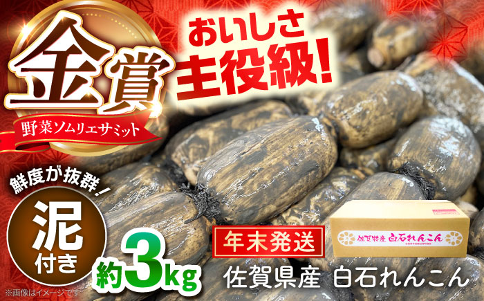 【年末発送】【先行予約】【金賞受賞！】松尾青果のこだわり白石れんこん 約3kg【松尾青果】 [IBD019]
