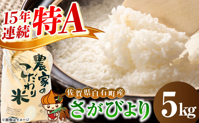 さがびより（白米） 5kg 【かわさきいちご】 [IBG018]