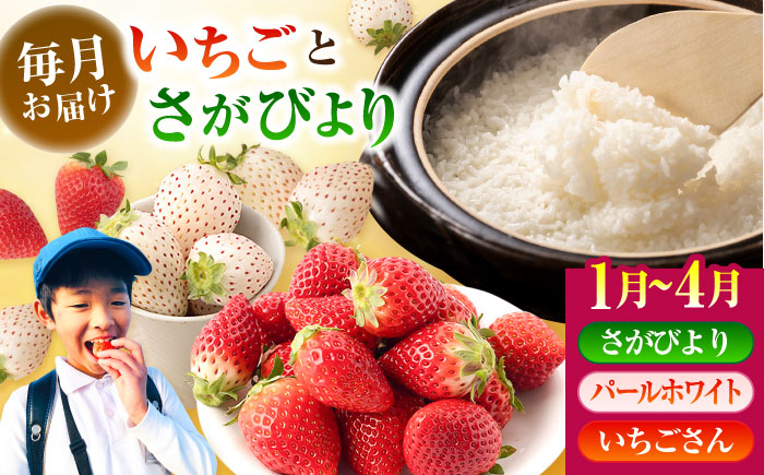 【R8年1月以降発送】【全4回定期便】いちごとお米の贅沢定期便（2） 【かわさきいちご】 [IBG020]