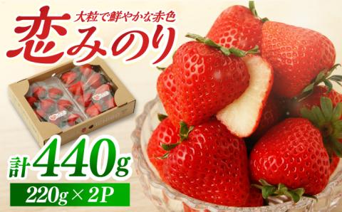 【先行予約】【農家直送】いちごに想いをのせて「恋みのり」220g×2パック 【鐘ヶ江農園】 イチゴ [IBH001]