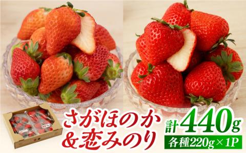 【先行予約】食べ比べ！恋みのり＆さがほのか 各220g 詰め合わせ セット【鐘ヶ江農園】いちご [IBH007]
