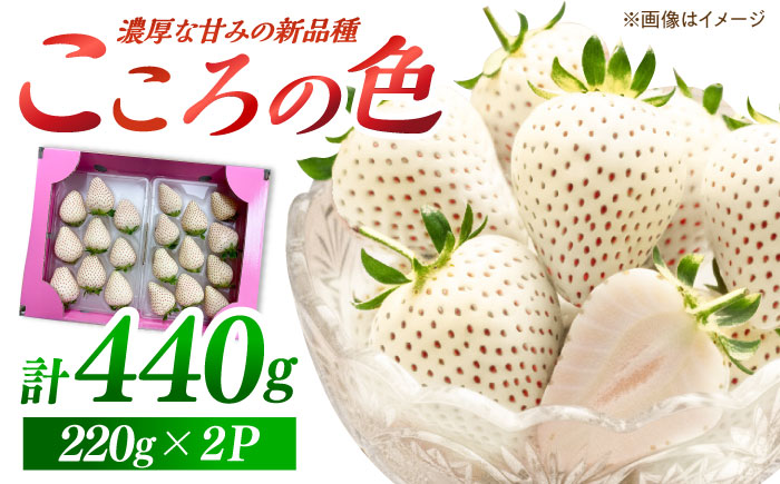 【先行予約】新品種  白石町産 白いちご 「こころの色」 220g×2パック 【鐘ヶ江農園】 [IBH016]